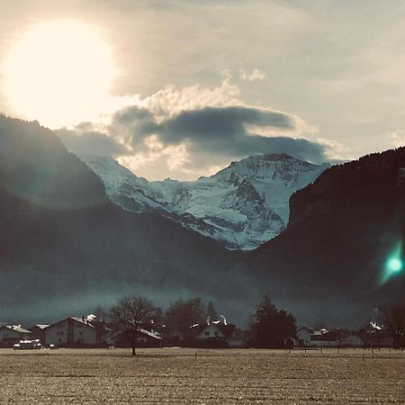Gemuetliches Zuhause Mit Ausblick Lägenhet Wilderswil Exteriör bild